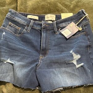 Universal Thread Blue Jean Shorts